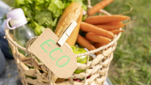 Distribucion-de-Productos-Ecologicos